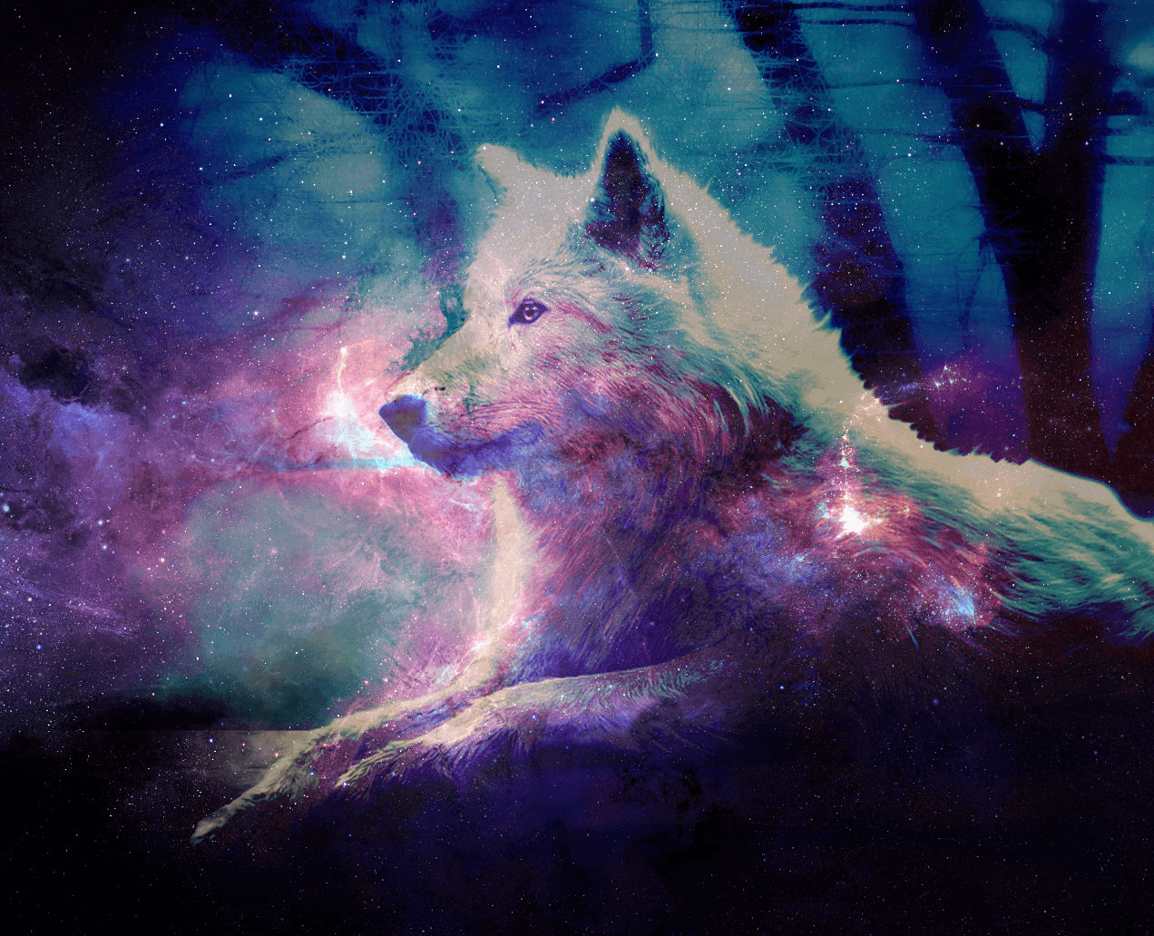 Cute Galaxy Wolf Wallpaper Top