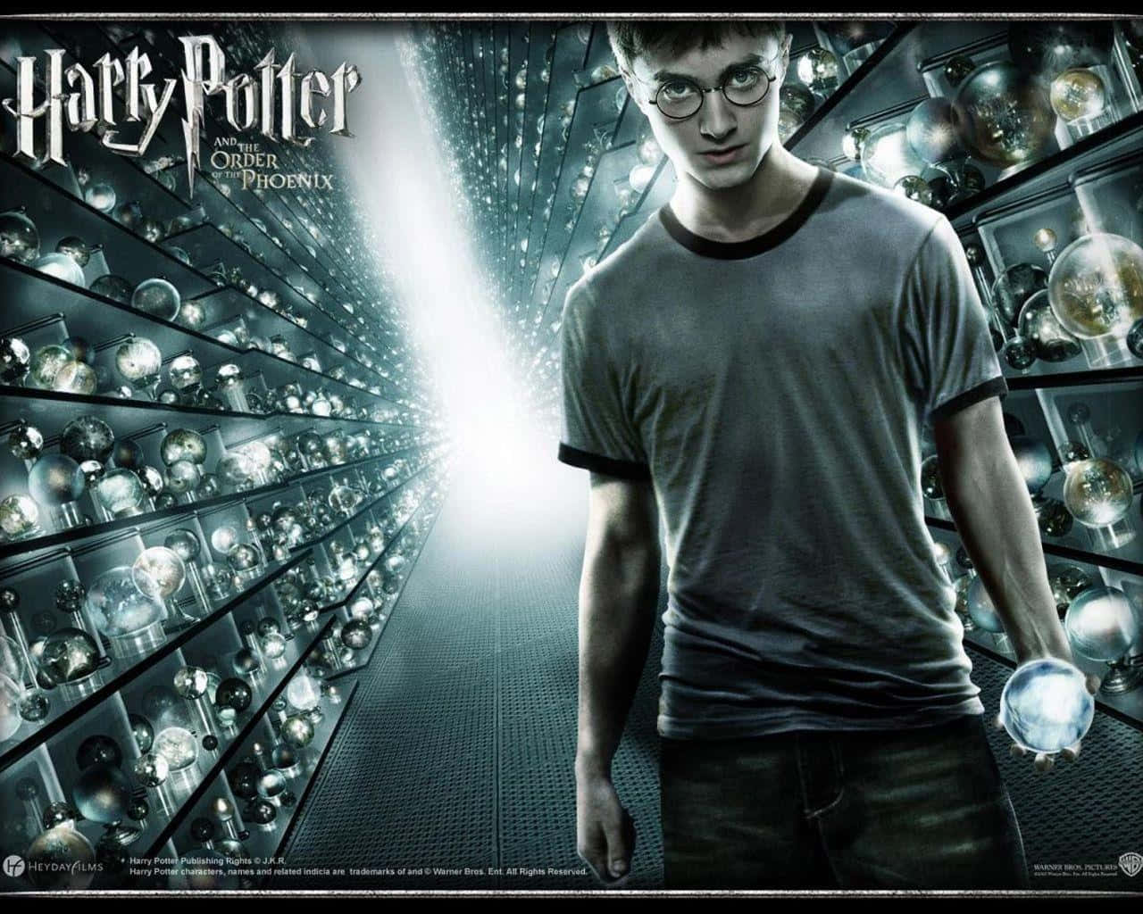 Harry Potter All Characters Wallpaper