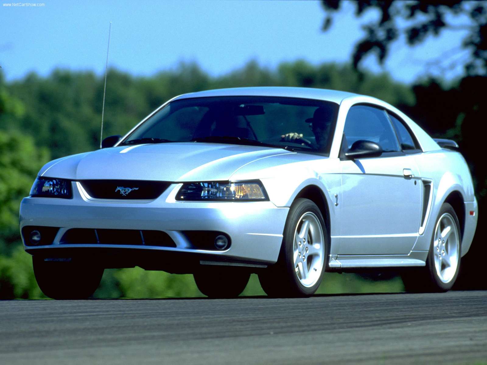 Wallpaper Of Cool Mustang You Can Click Here To Find