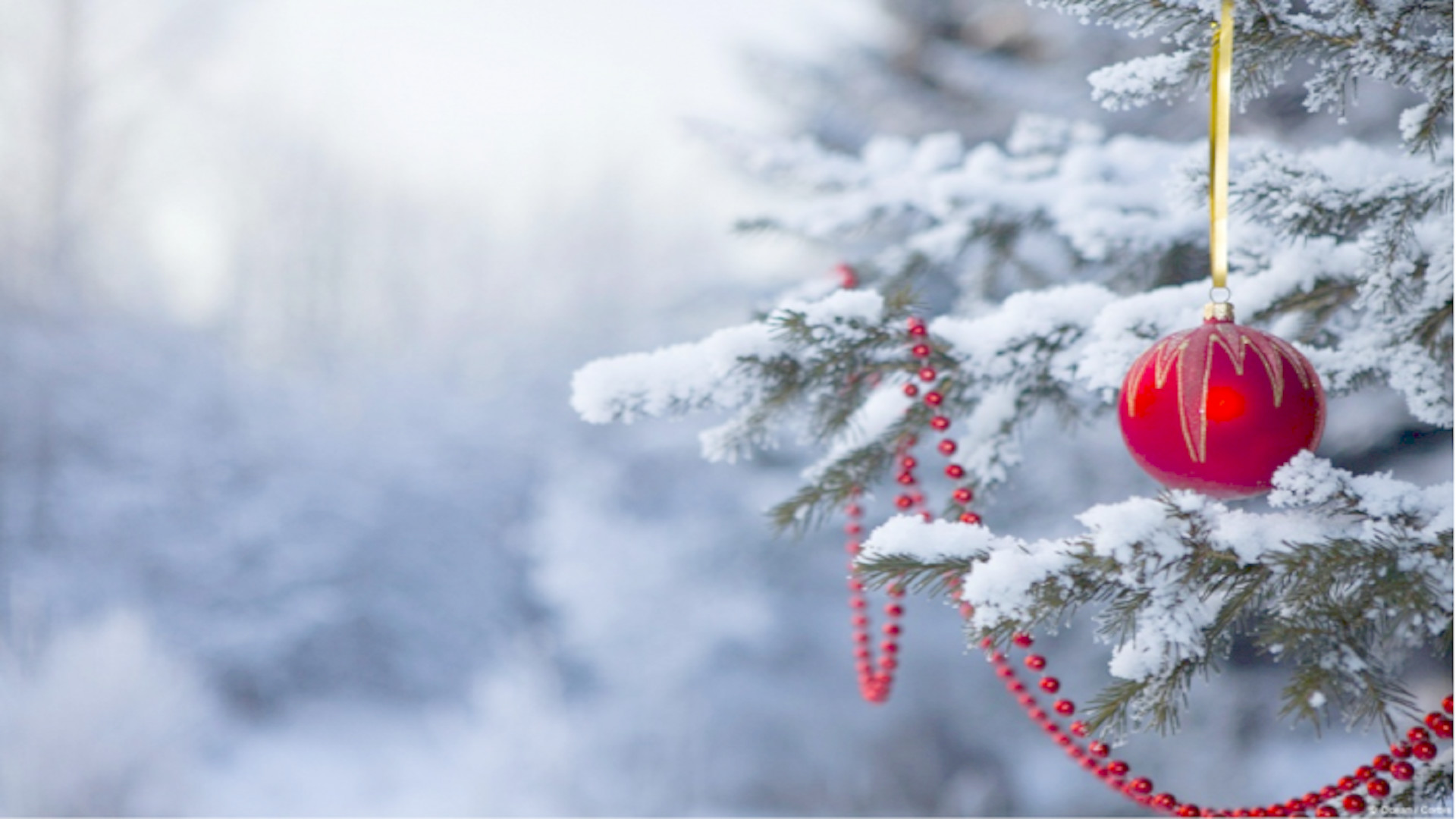 Close-up of a snow-dusted evergreen branch adorned with a red Christmas ornament and a string of red beads, evoking a serene winter holiday scene