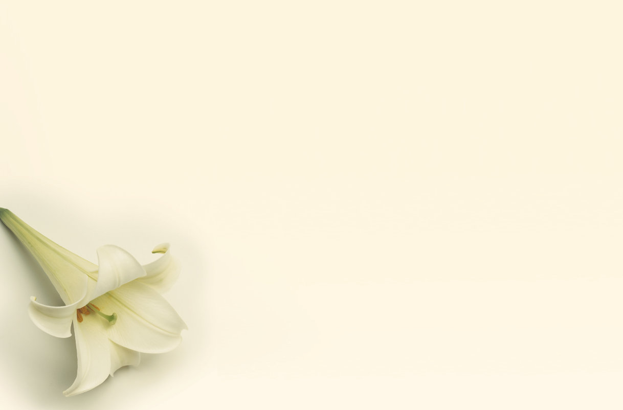 Related Pictures Easter Lilies Wallpaper