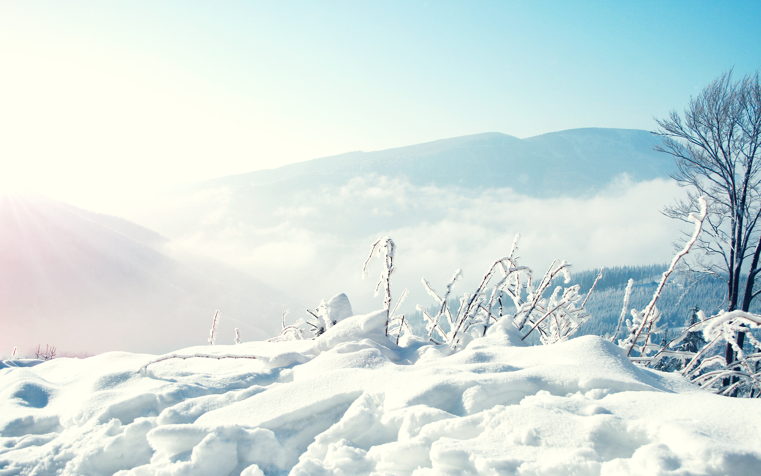 Winter Wallpaper High Resolution With
