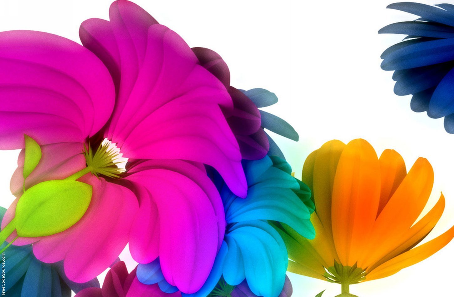 Bright Colorful Flowers Formspring Background