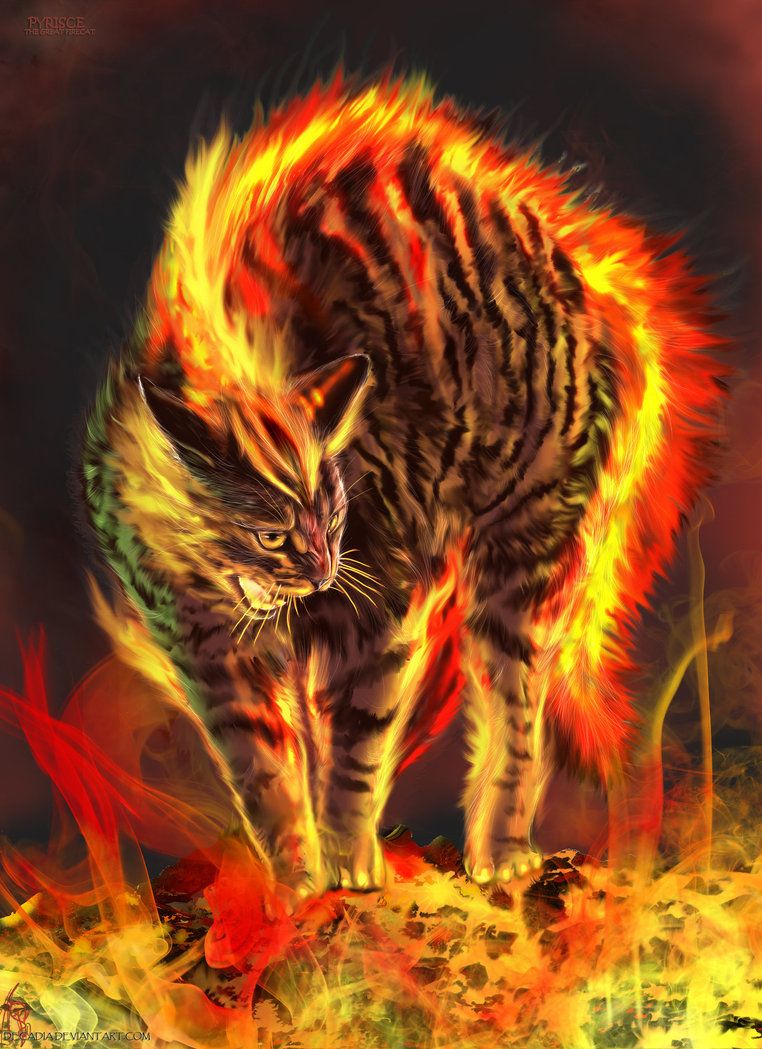 Pyrisce The Firecat Cats Cat Art Artists