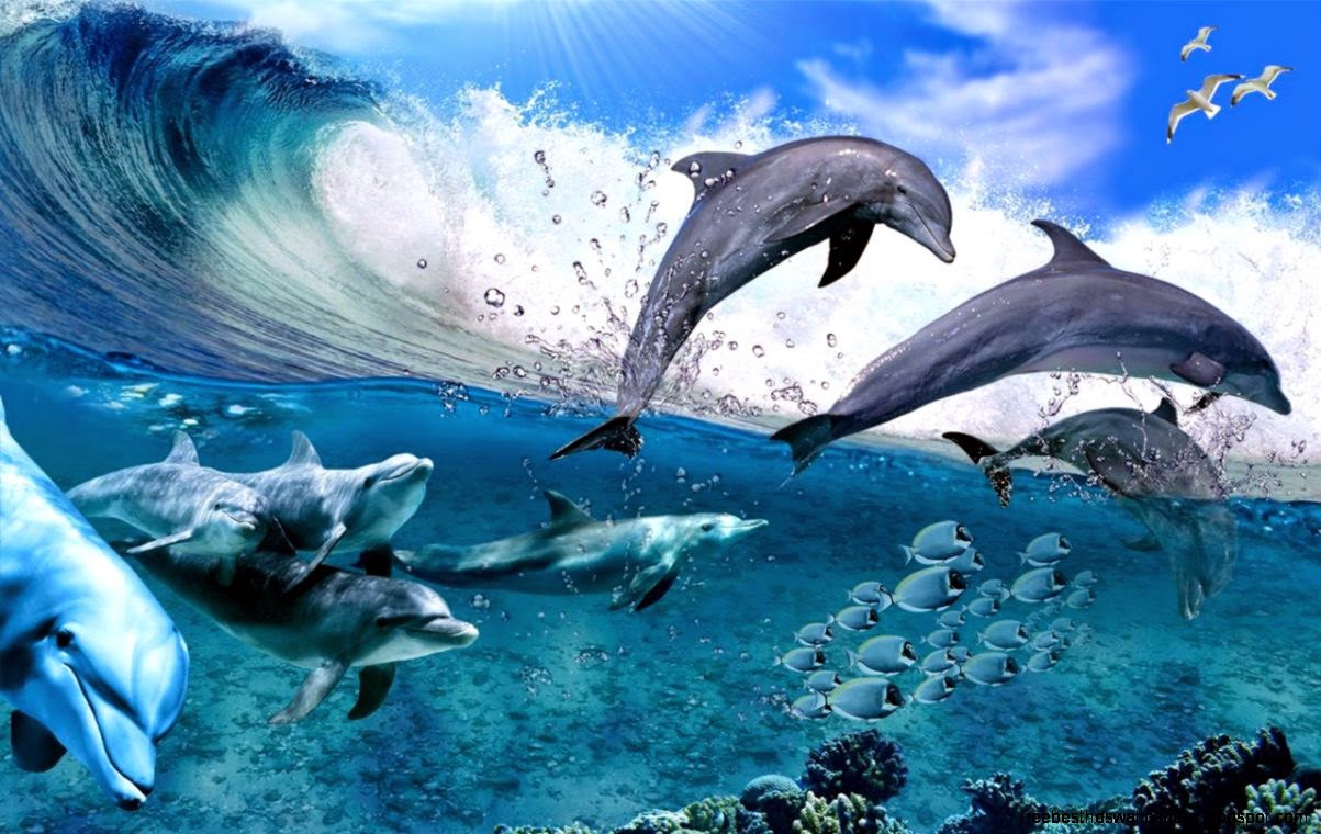 Dolphin Moving Animations Wallpaper Best HD
