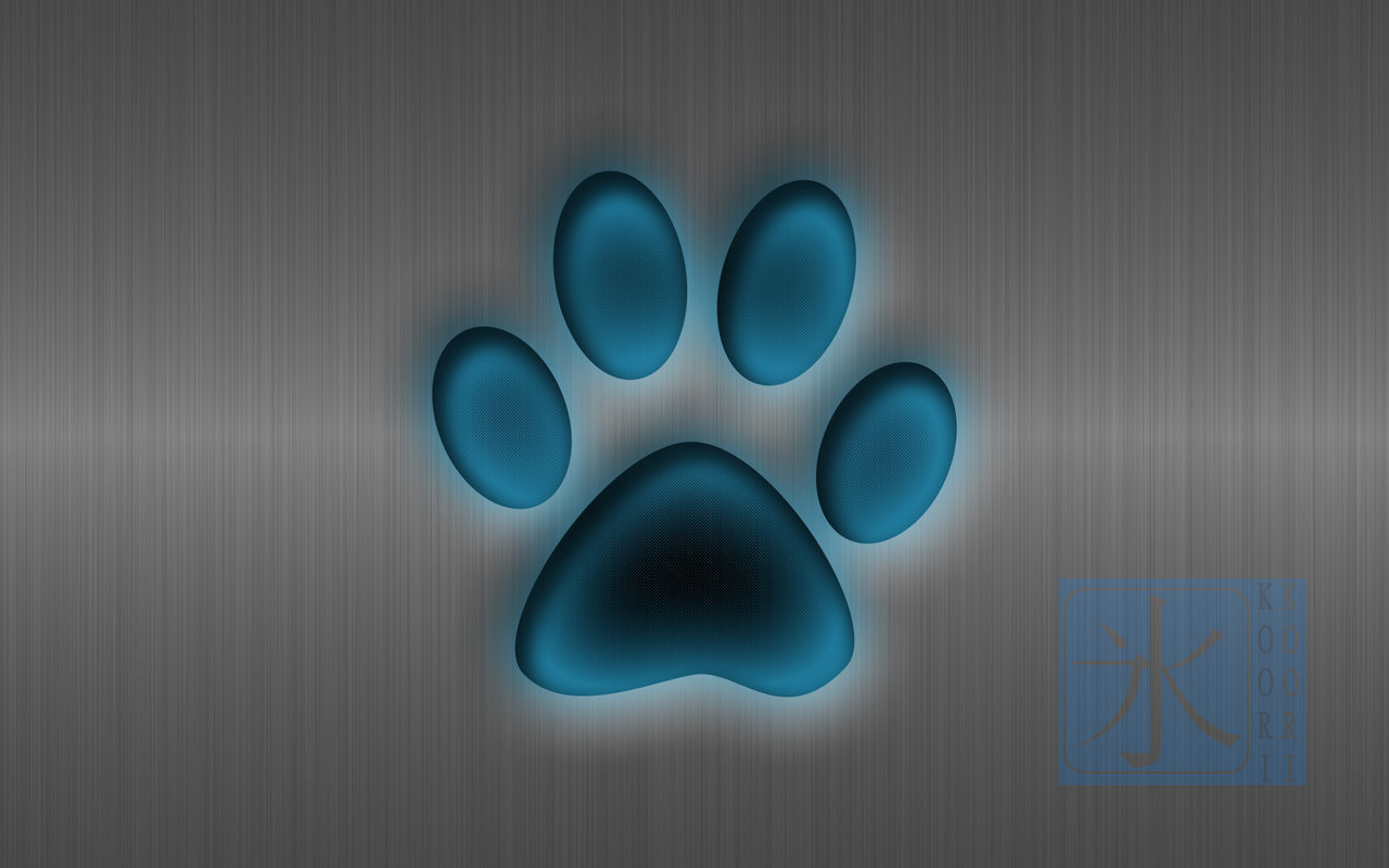 Free download Blue Paw Print Wallpaper Images Pictures Becuo [864x648