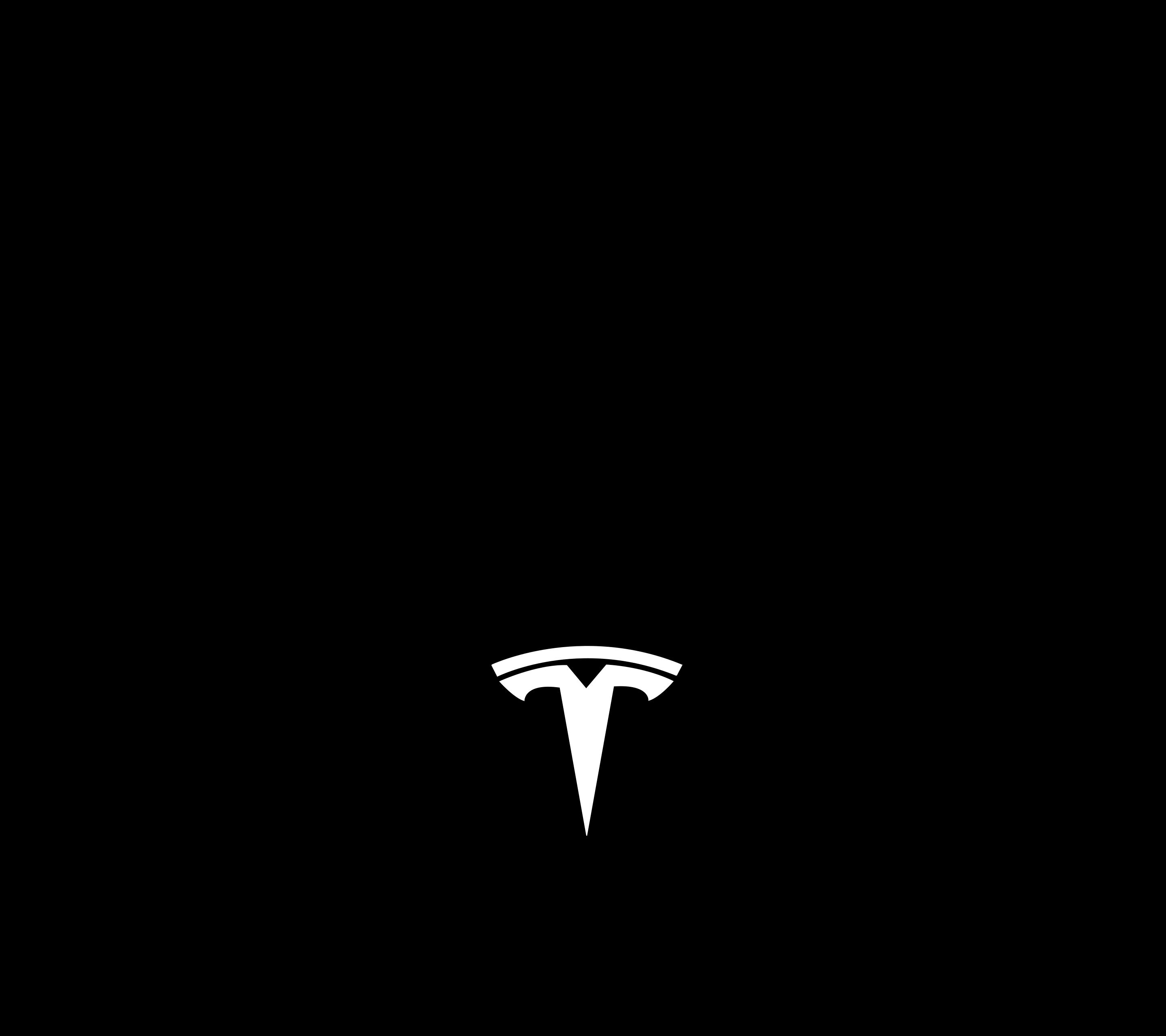 I traced a vector of the tesla logo so I could make a full