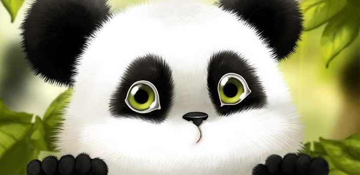 Panda Chub Live Wallpaper Apk S Ws