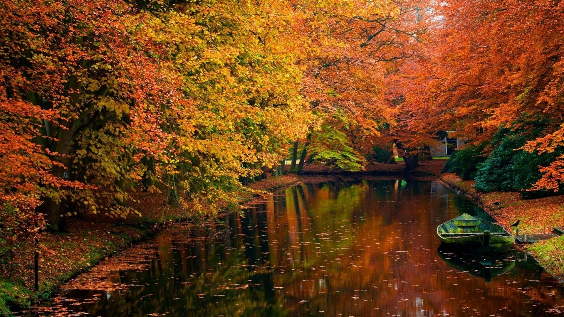 River And Fall Wallpaper Desktop Hq Wallpape HD