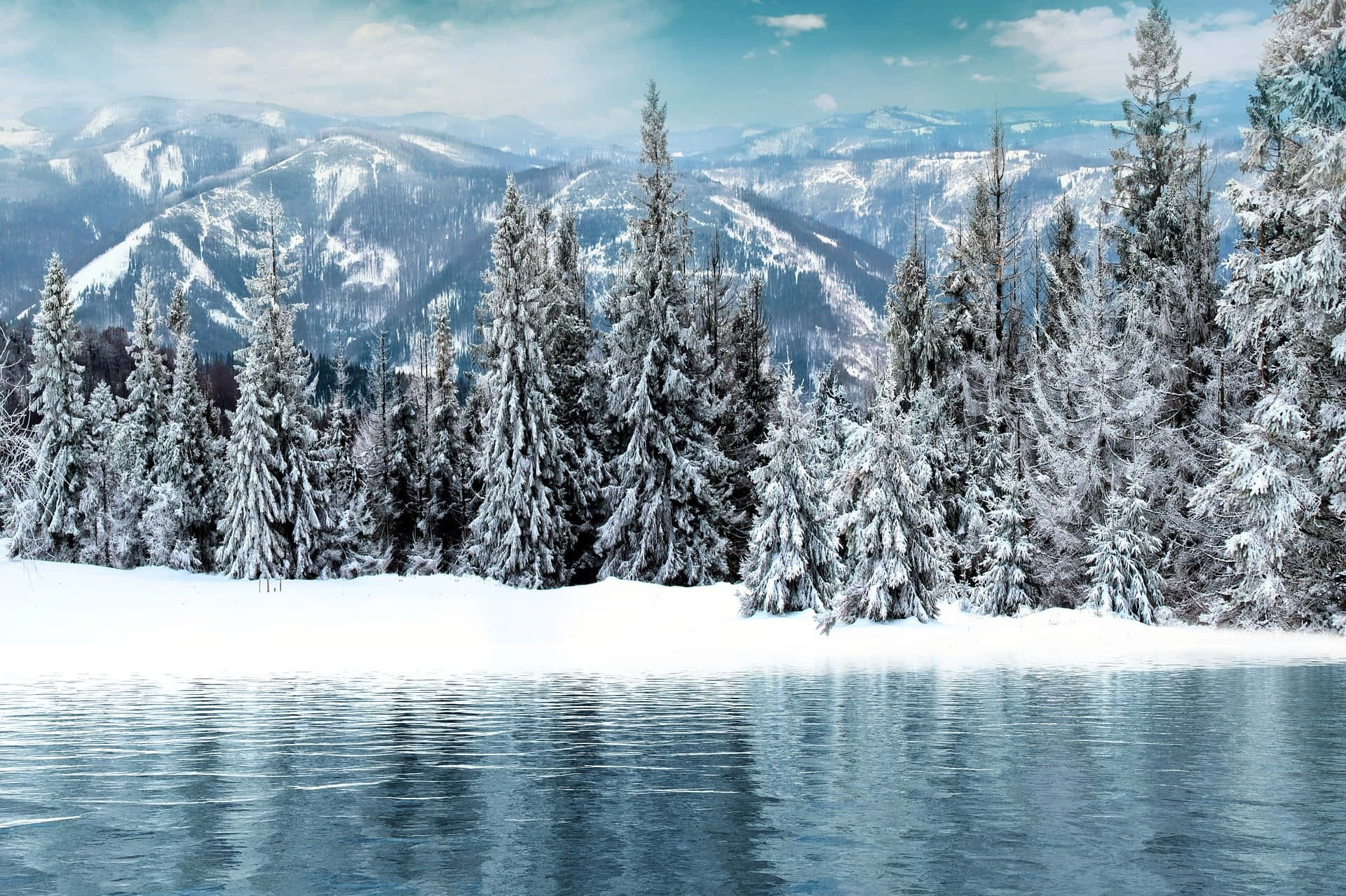 Simple Winter Wallpaper