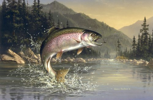 Jumping Trout Photo And Wallpaper Cute Pictures