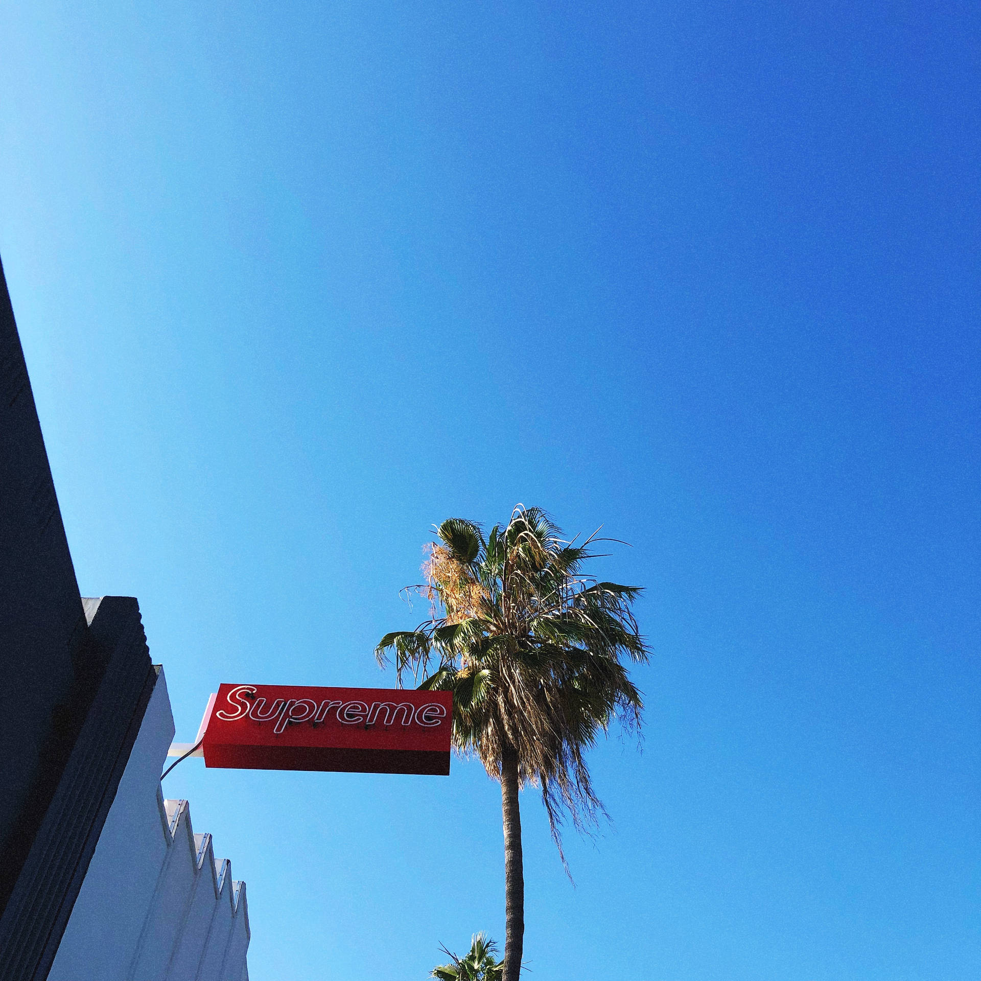Supreme Aesthetic Wallpaper