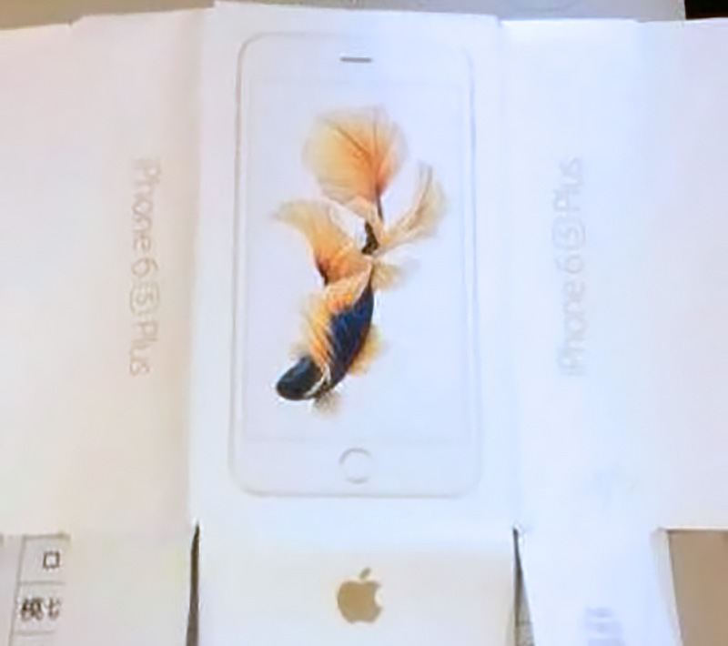 iPhone 6s Packaging Koi Pond Fish Wallpaper Cnbeta Leak