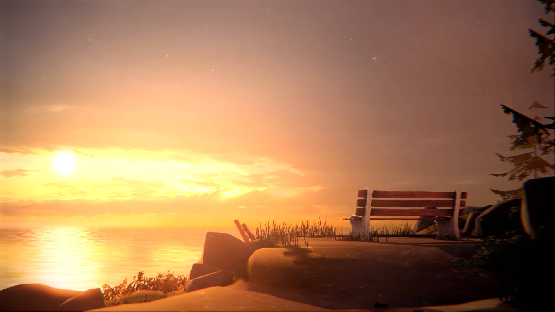 Life Is Strange Wallpaper