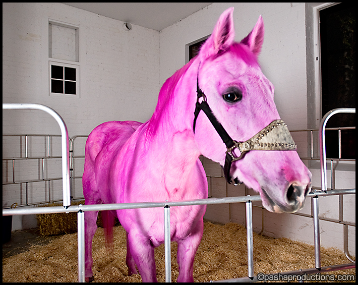 pink horse teddy