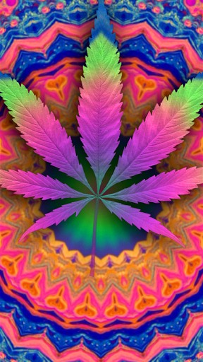 Bigger Marijuana Live Wallpaper For Android Screenshot
