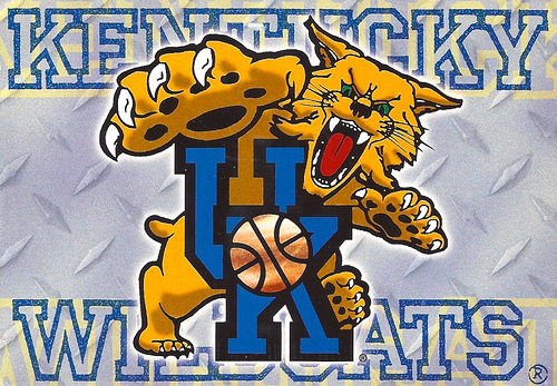 Kentucky   Wildcats   University of Kentucky 500x347