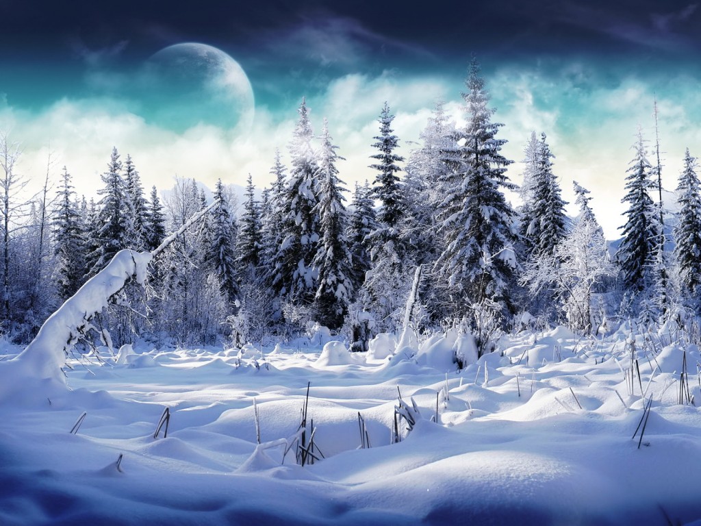 Christmas Tree Desktop Wallpaper