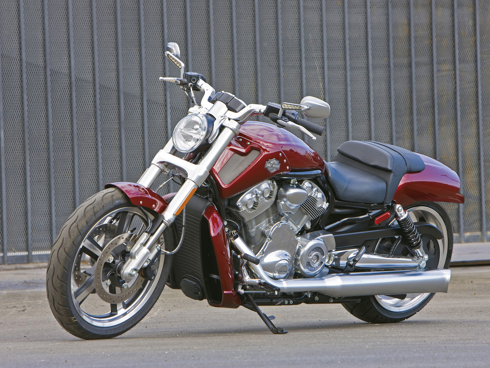 Vrscf V Rod Muscle Harley Davidson Pictures