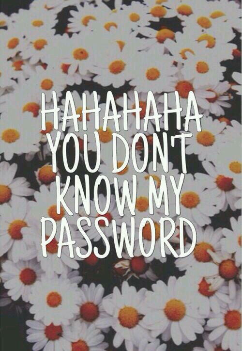 Hahaha You Don T Know My Password Wallpaper