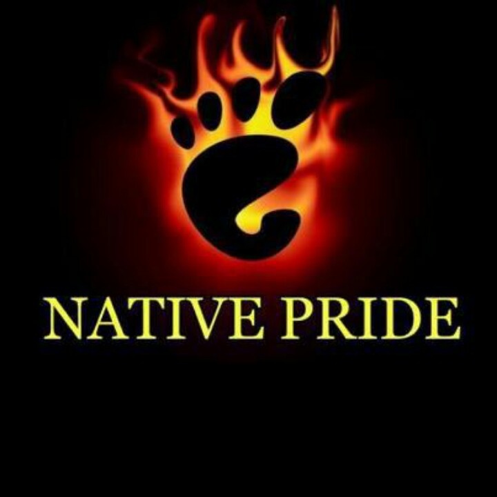 Native Pride Cool Artwork Pinterest