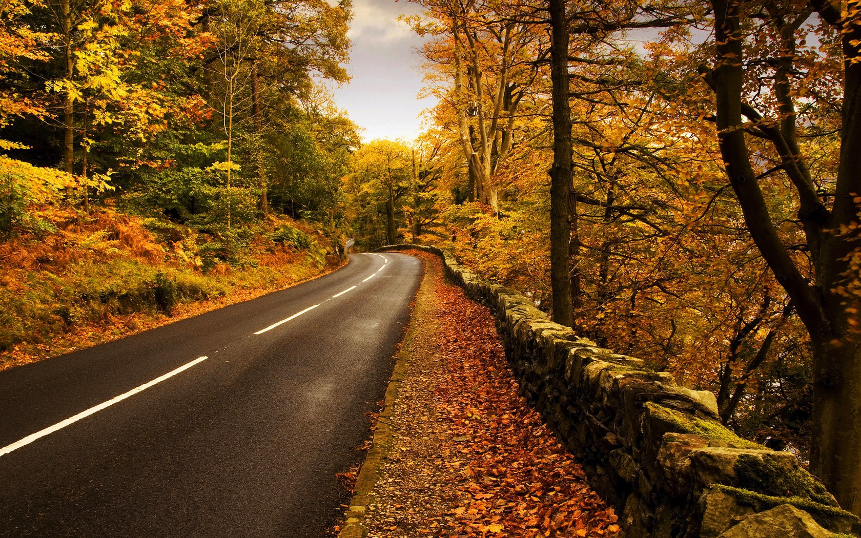 Autumn Road Desktop HD Wallpaper Mega