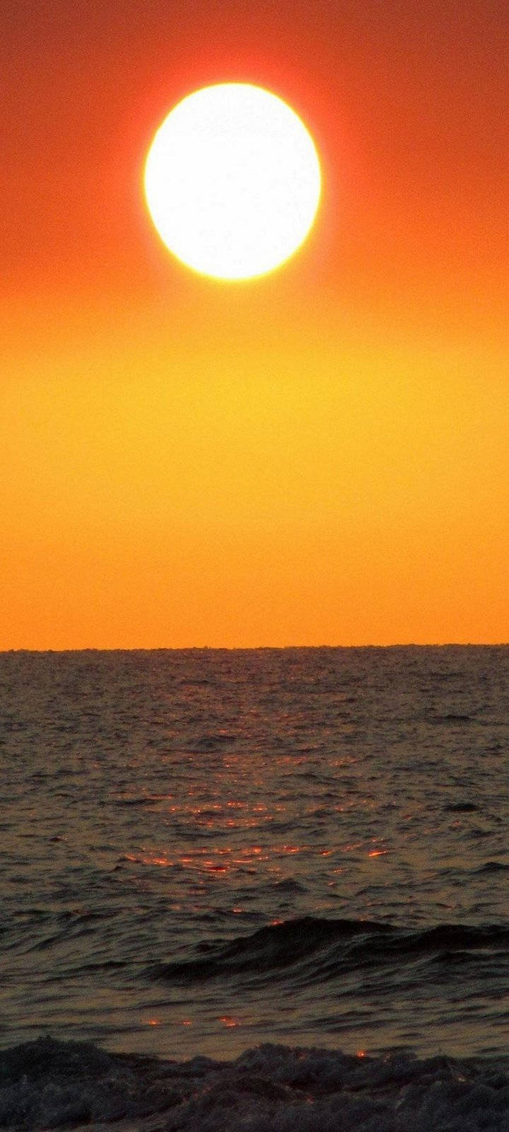 Vivo Y20 Wallpaper