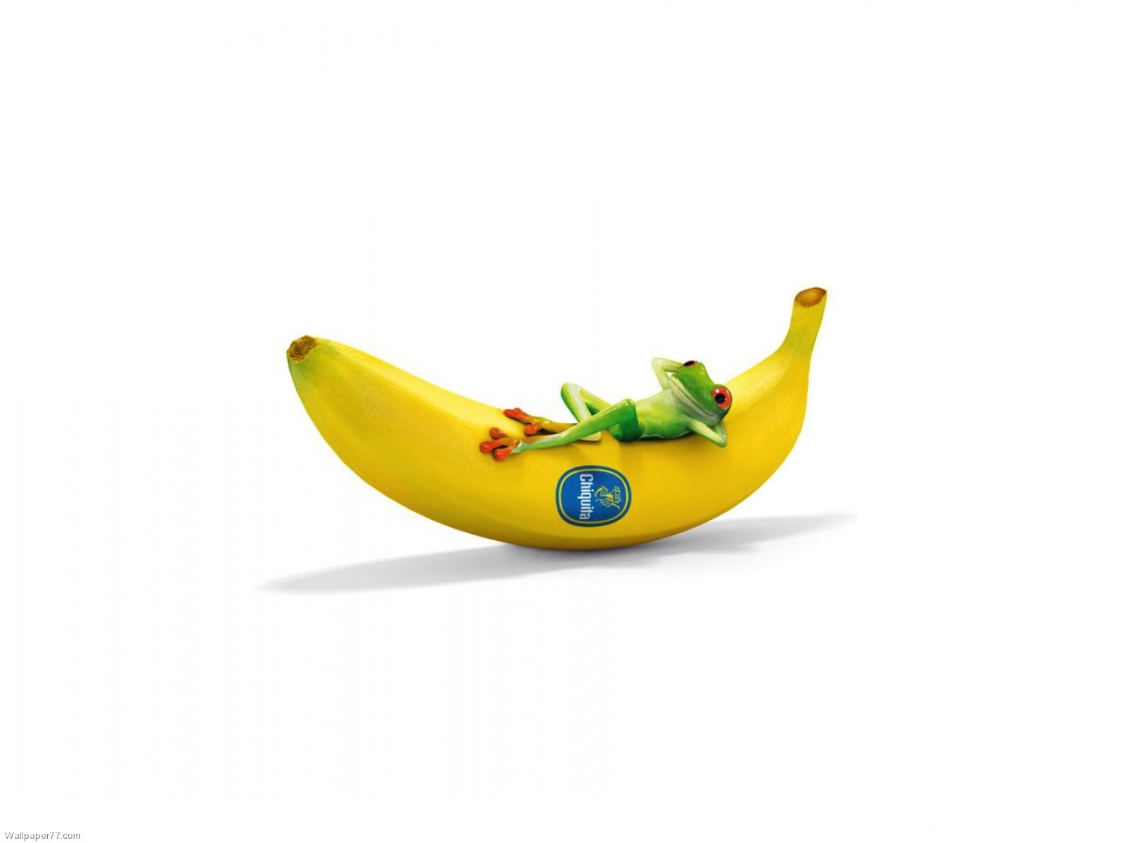 Chiquita With Frog Funny fun wallpapers funny wallpapers cute 1600x1200