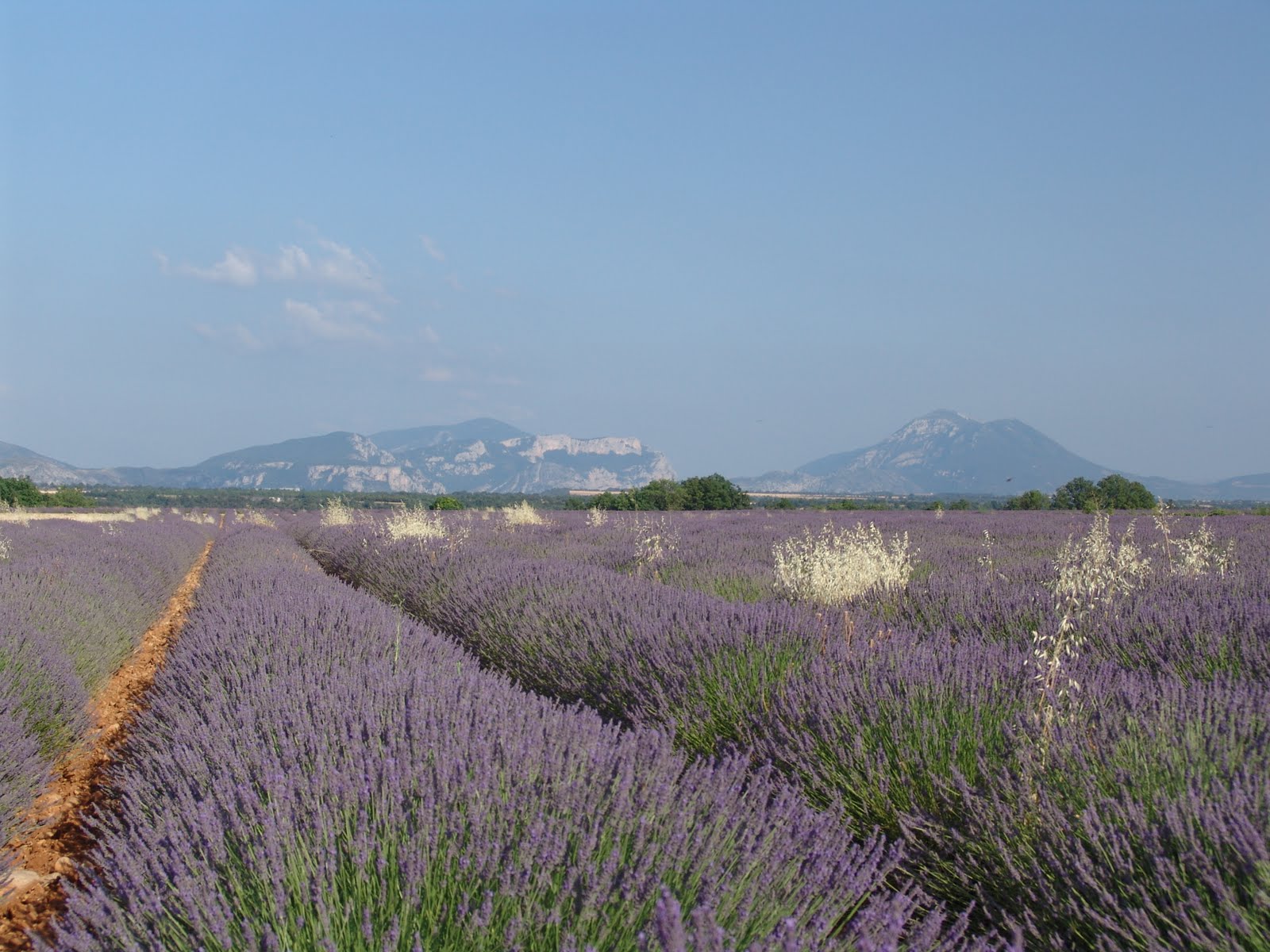 Beautifull Wallpaper Provence France