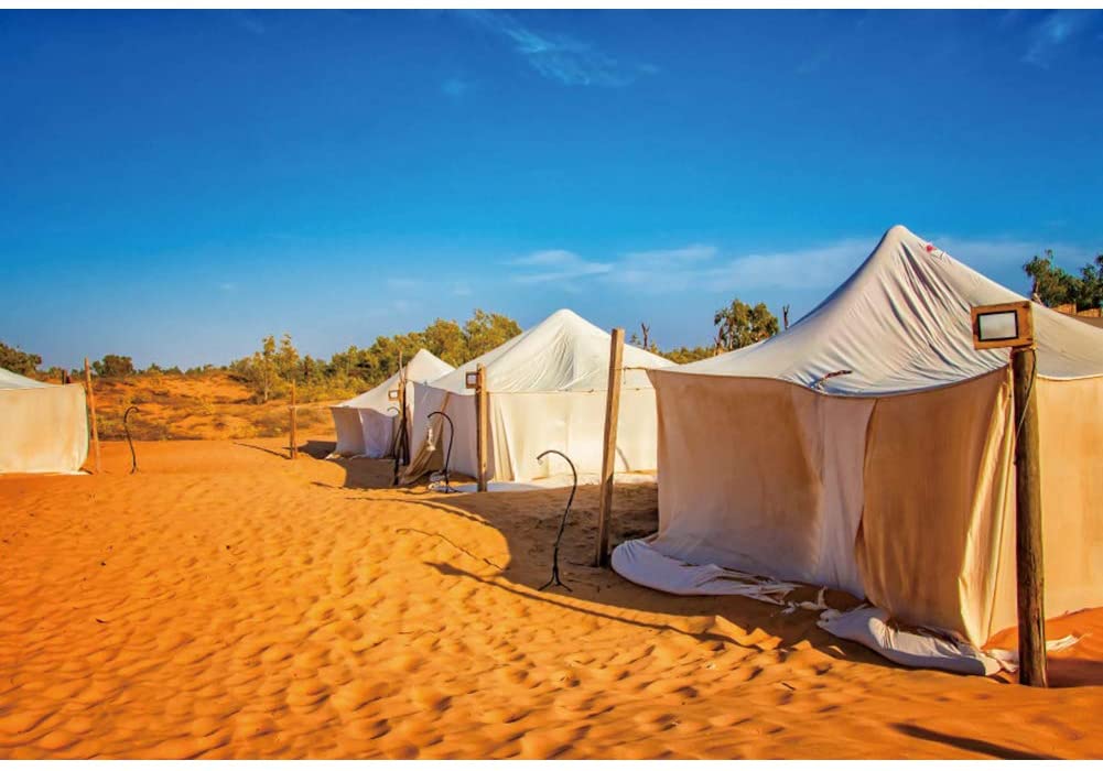 Cost Effective Yongfoto Desert Landscape Backdrop Camping