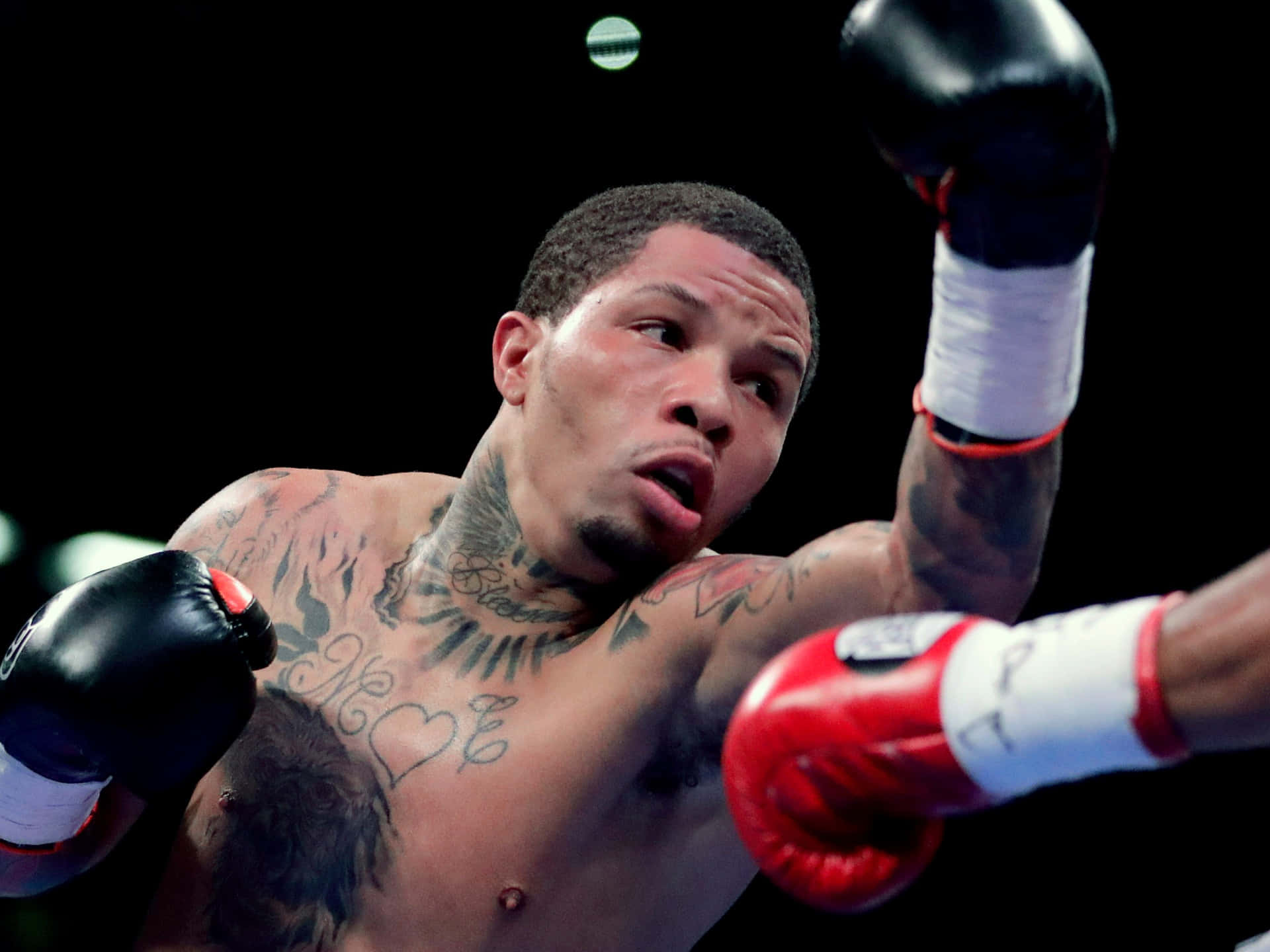 Gervonta Davis Wallpaper