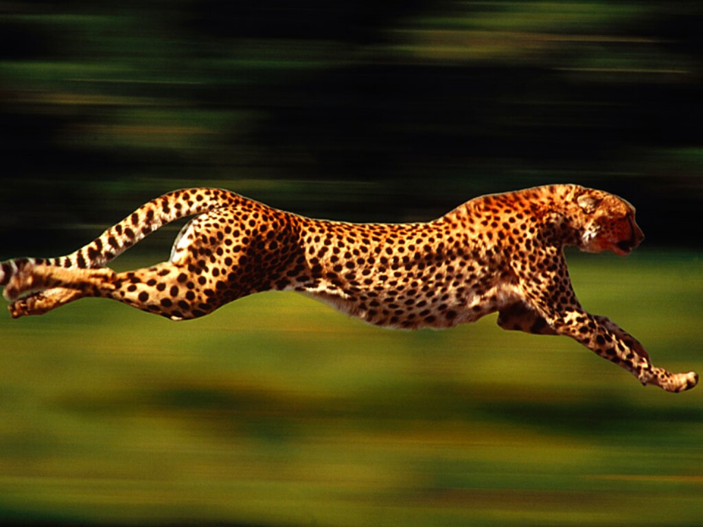 Running Wallpaper