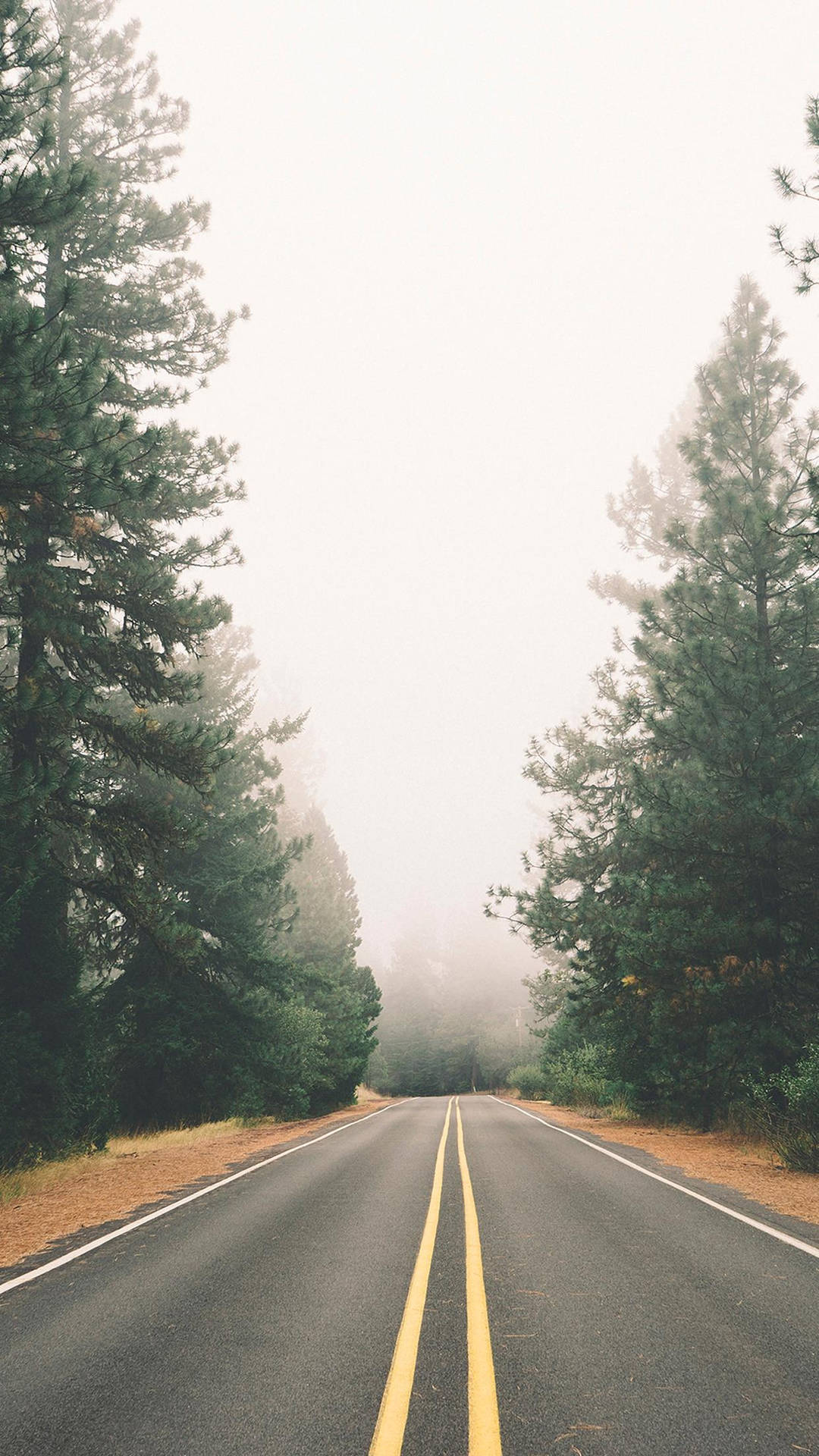 Vintage iPhone Wallpaper