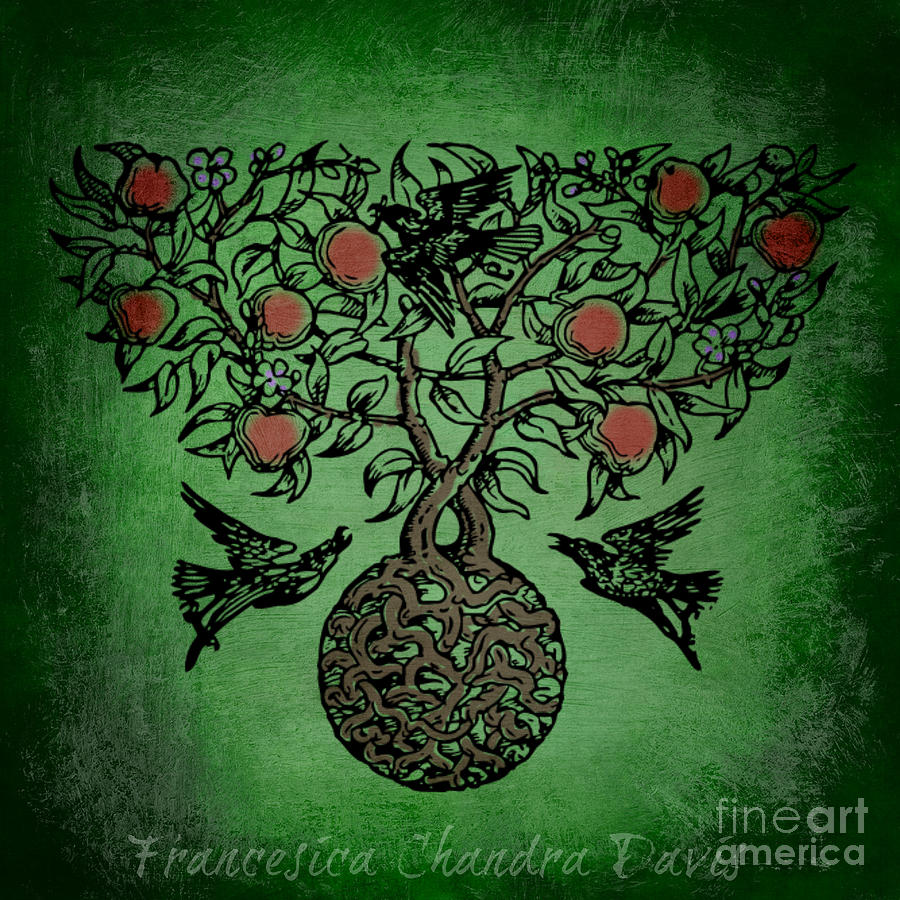 Celtic Knot Tree Of Life Art