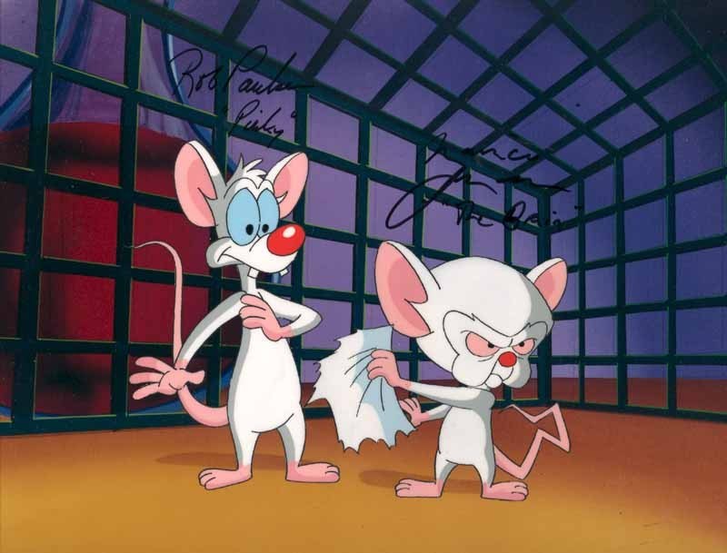 Pinky and The Brain Pinky the Brain