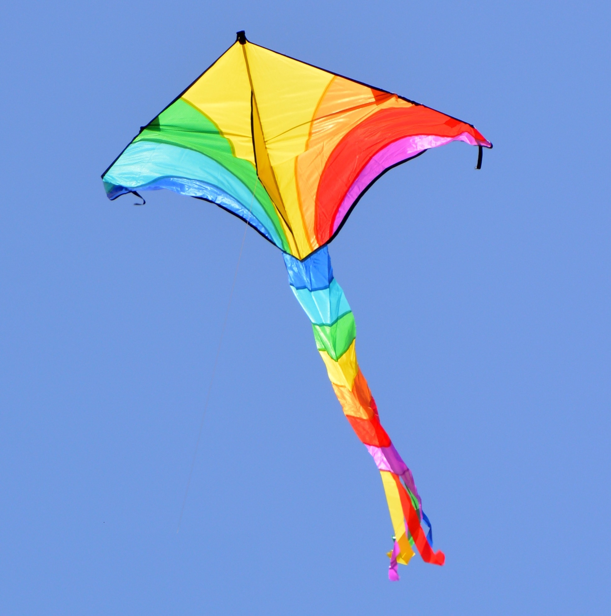 Yellow And Blue Kite Image