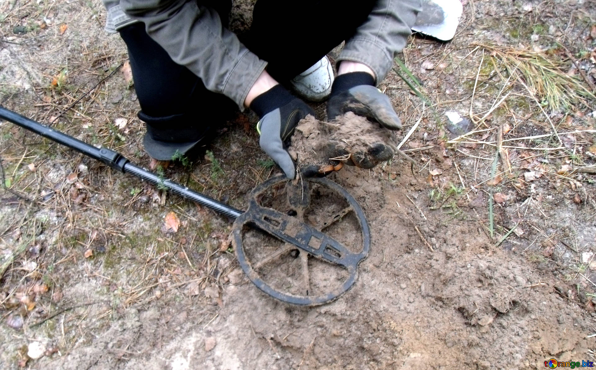 Archeology Search History Metal Detector Rock