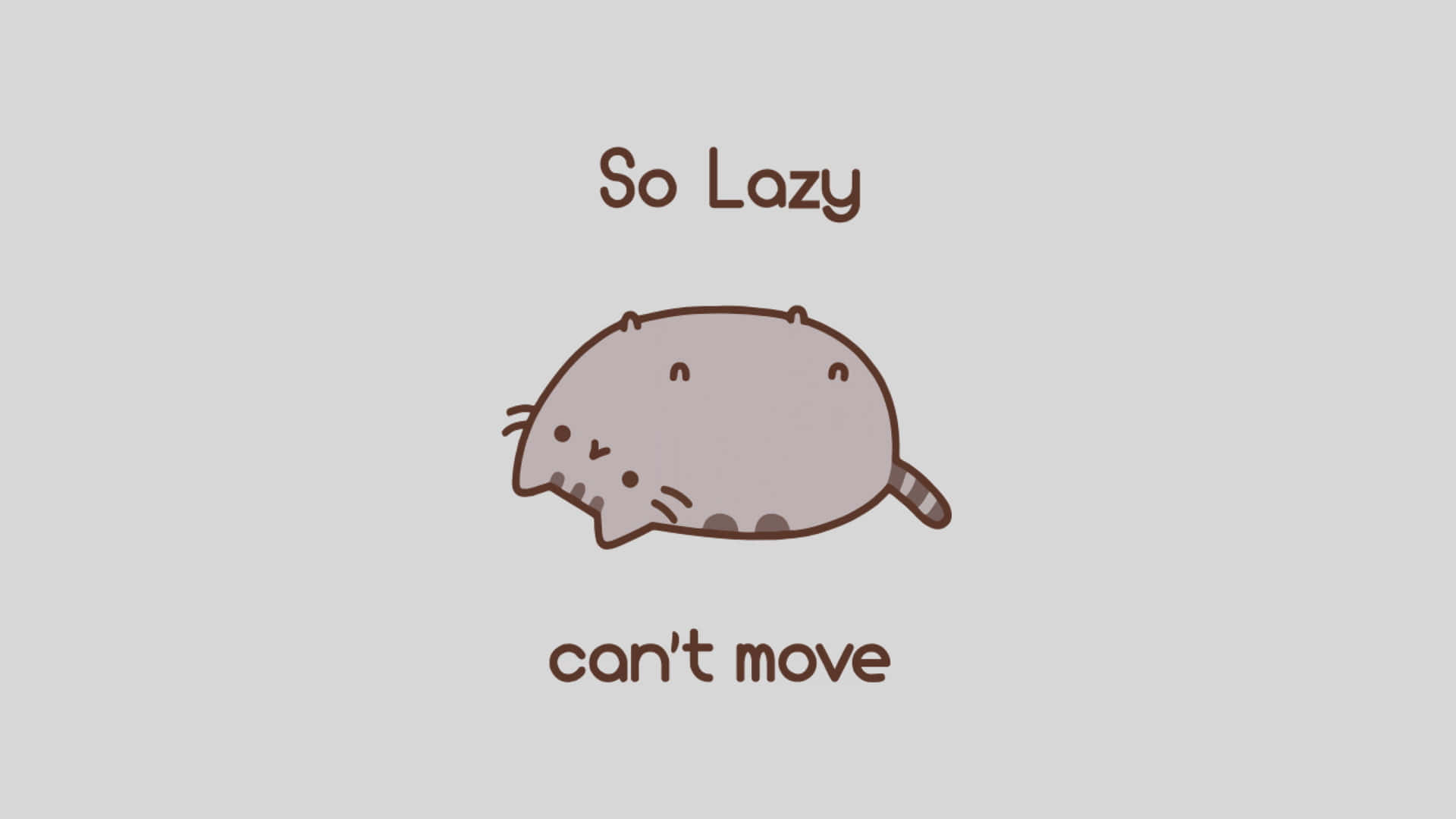 Cat Meme Picture Wallpaper