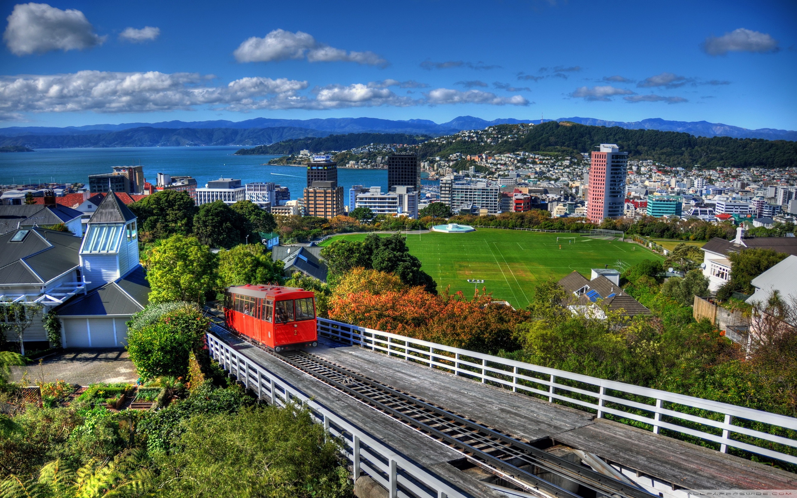 New Zealand Houses Wellington From Above 4k HD Desktop