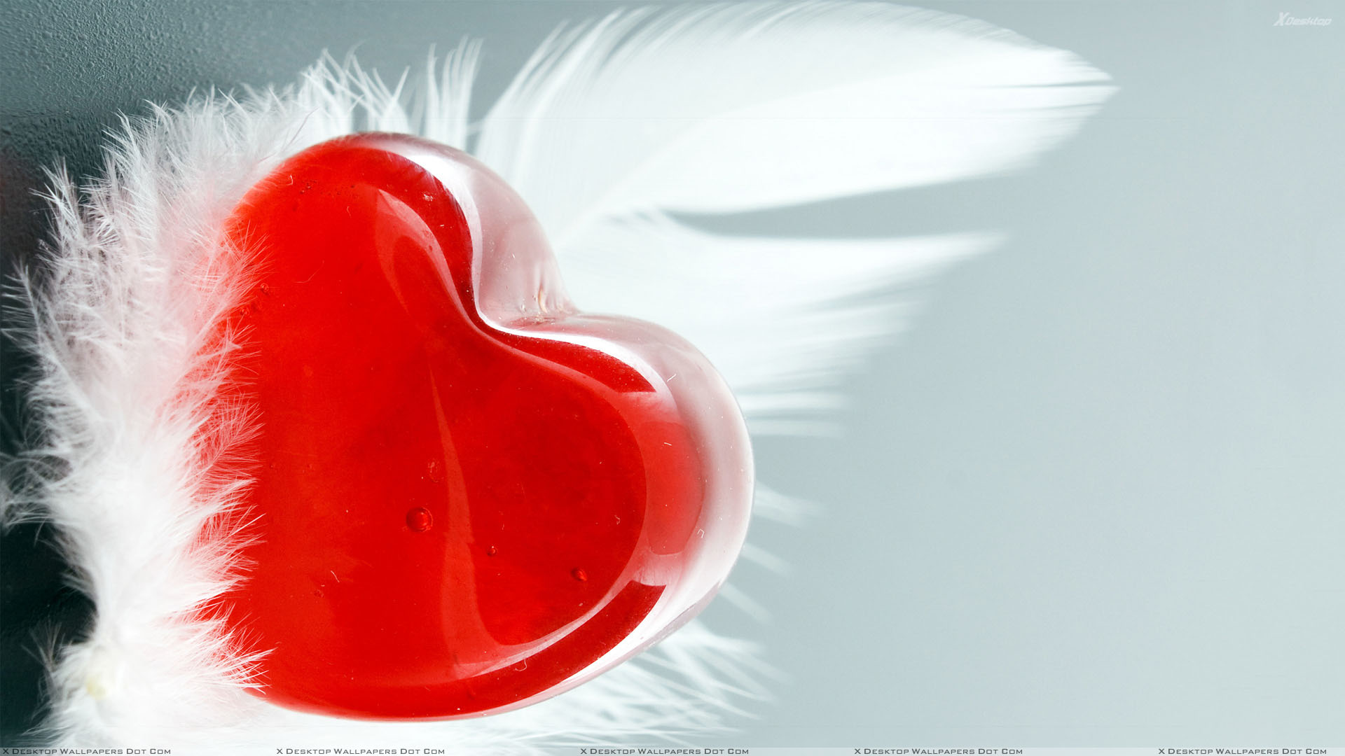 Feather And Red Heart Wallpaper