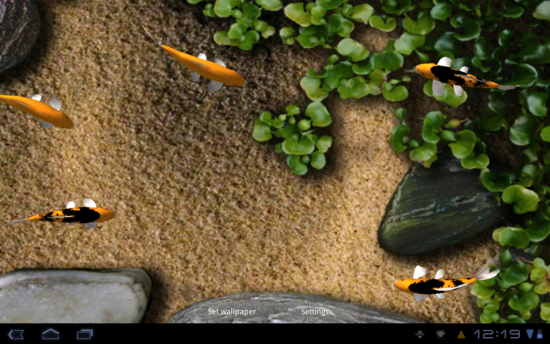Muhammad Aziz Koi Live Wallpaper Apk Main Ikan Di Android