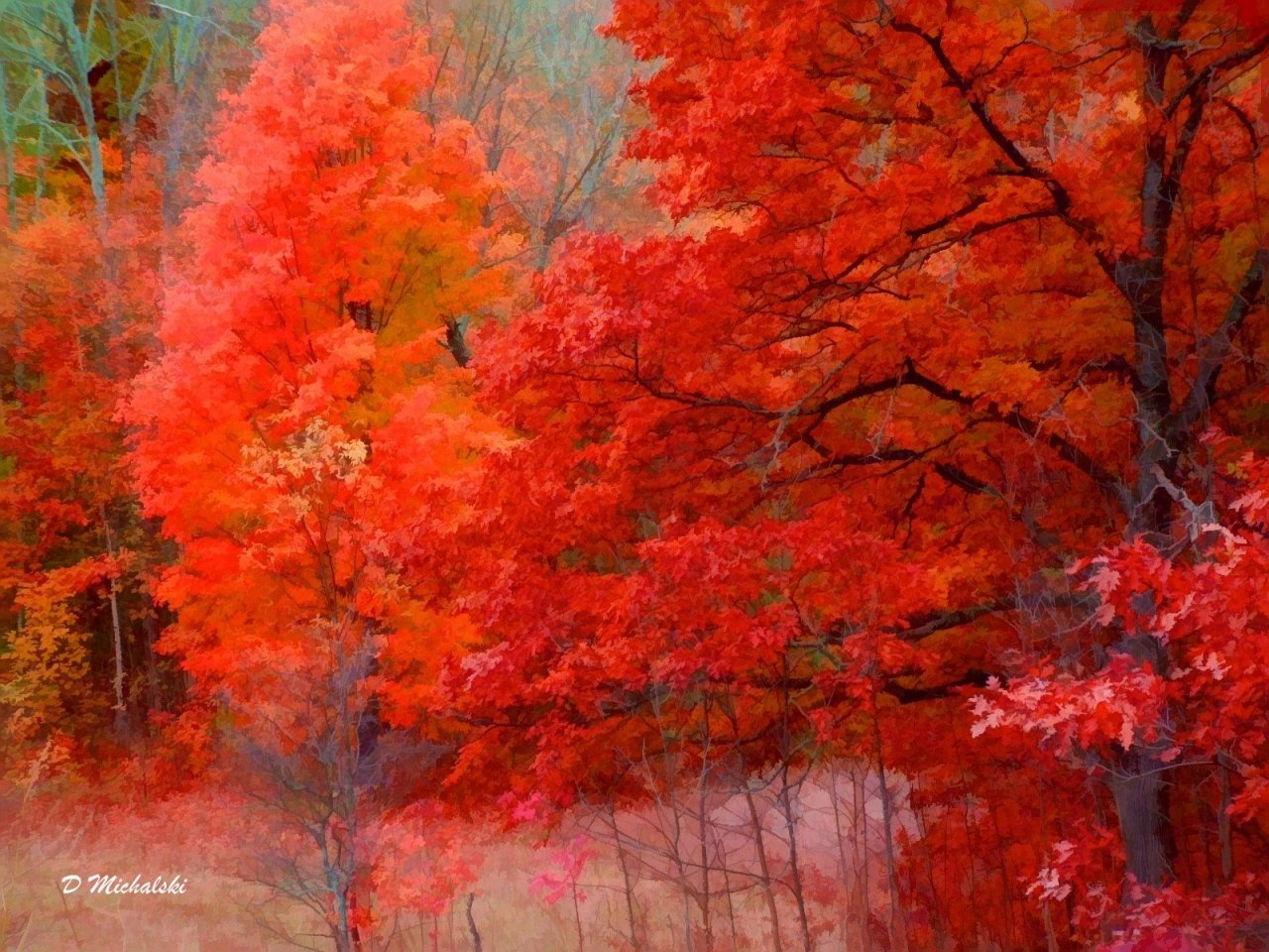 Autumn Background Wallpaper Fall Desktop Pics Filesize