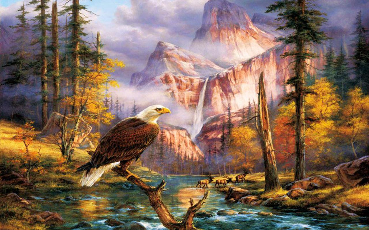 The Bald Eagle High Quality And Resolution Wallpaper On