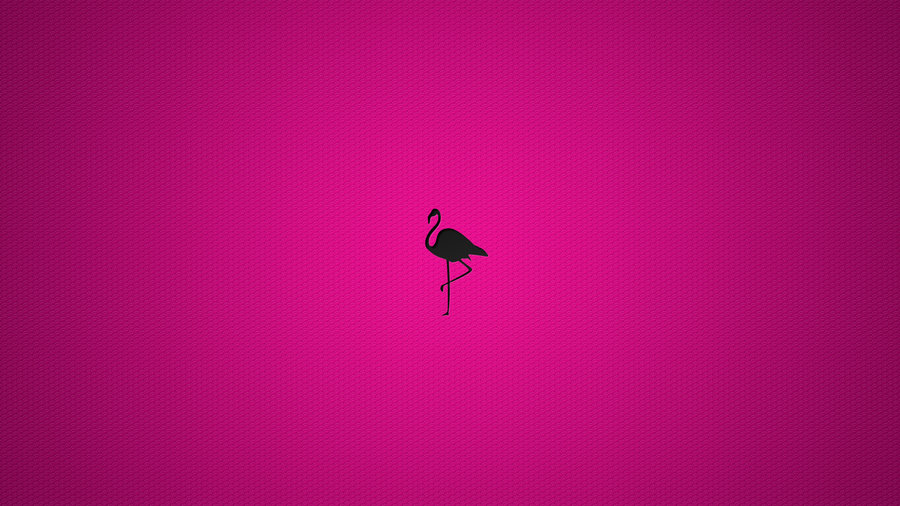 Flamingo Wallpaper By Fernandoperigolo