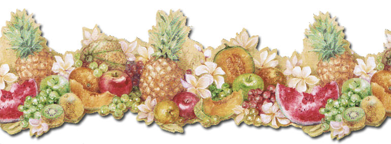 Wallpaper Border Discount Norwall Discontinued Blonder