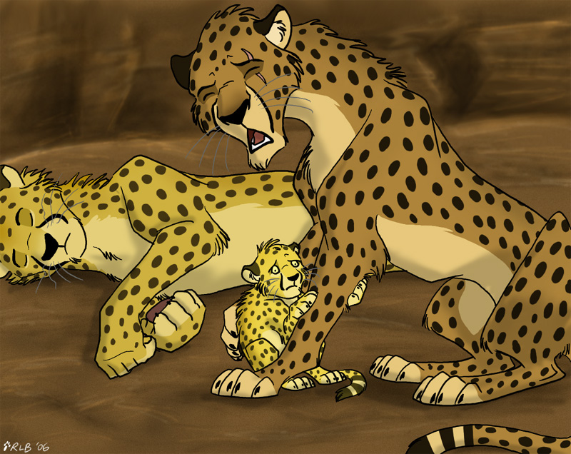 King Cheetahs Wallpaper Cheetah By Kobb