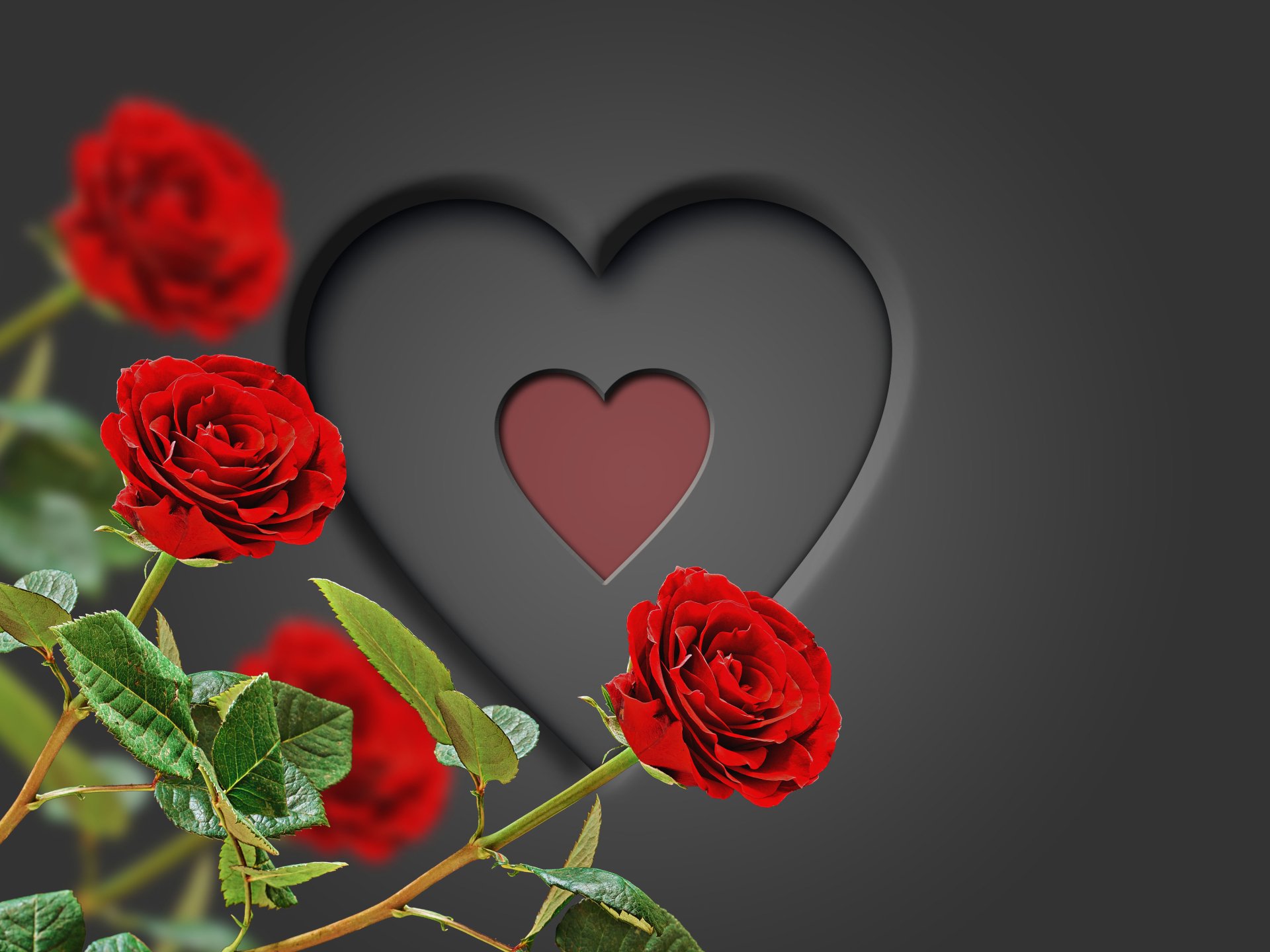 Red roses arranged around a heart-shaped cutout, perfect for Valentine's Day or romantic occasions