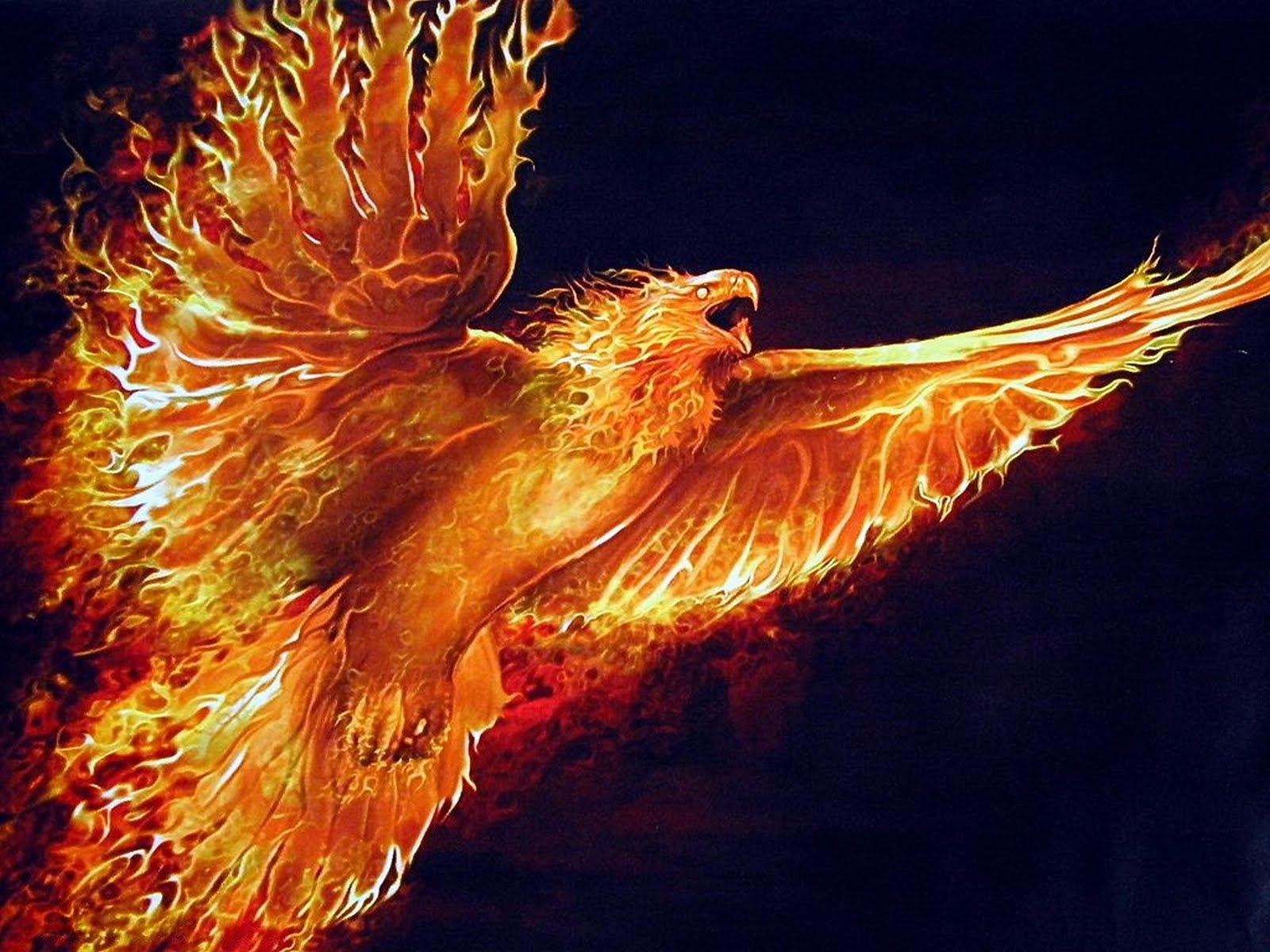 Wallpaper Fire Eagle