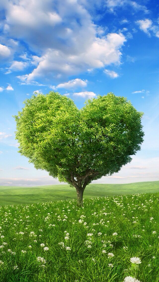  Spring Wallpapers Girly Wallpapers Heart Shape Wallpapers Iphone
