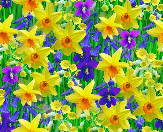 50 Google Images Springtime Wallpaper On Wallpapersafari